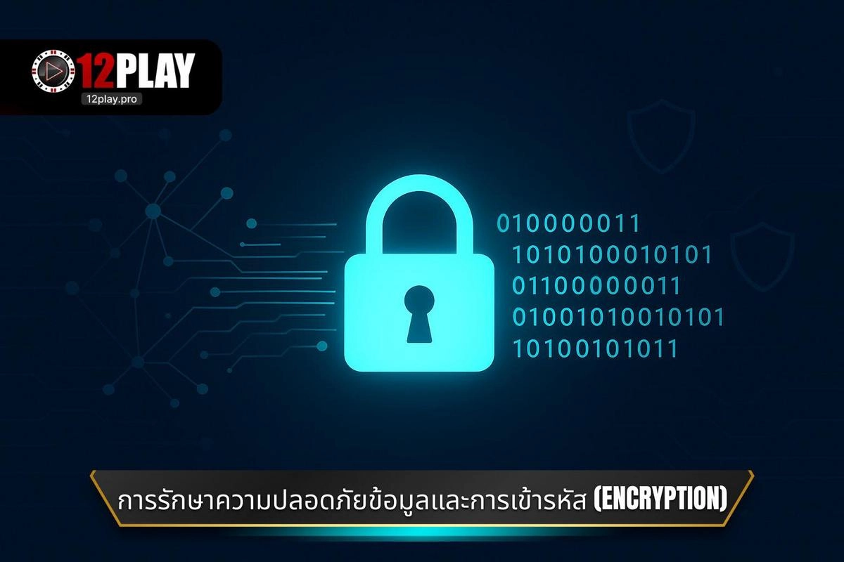 การรักษาความปลอดภัยของข้อมูลและการเข้ารหัส (Encryption)